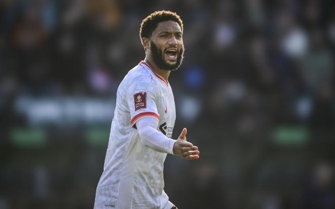 马丁的到来 马丁的到来