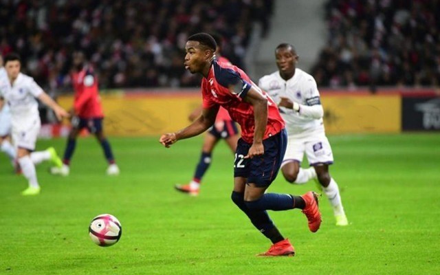 李维拉在对 李维拉在对